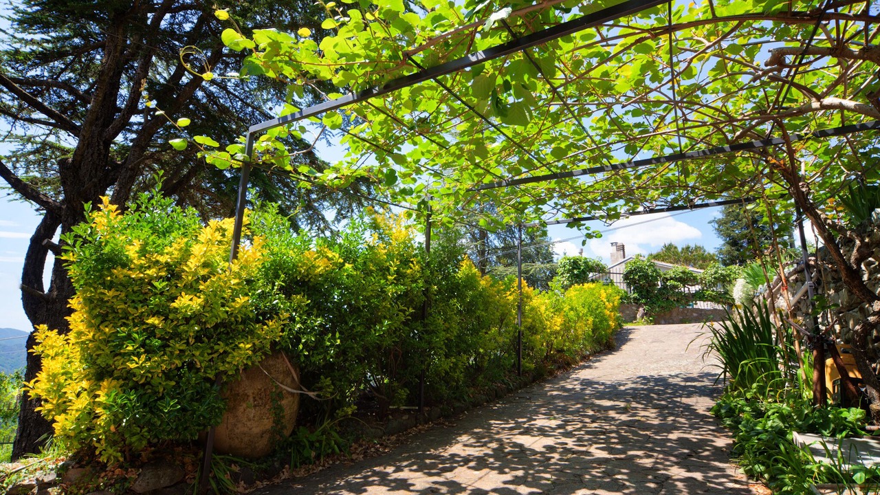 Photo of Outdoor in Velva