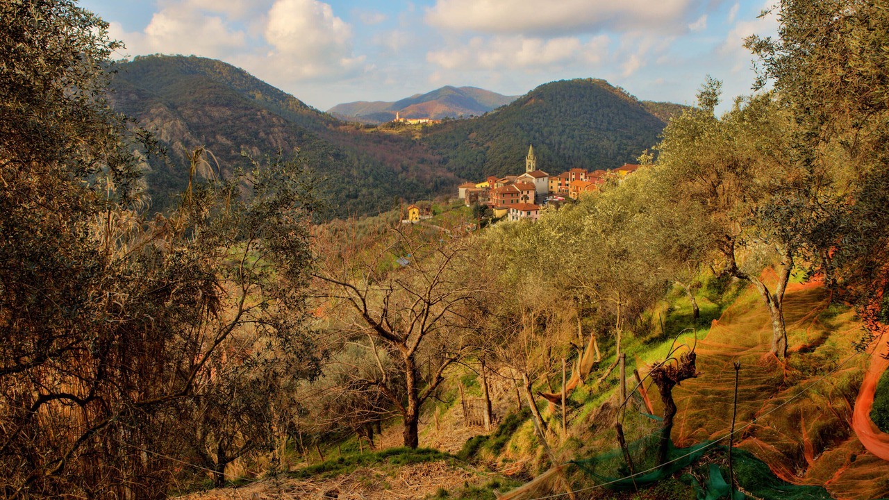 Photo of Outdoor in Velva