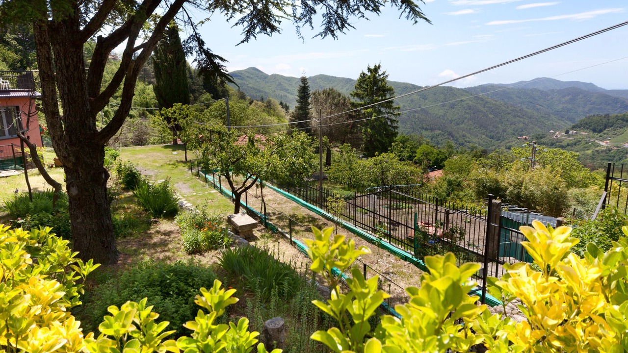 Photo of Outdoor in Velva