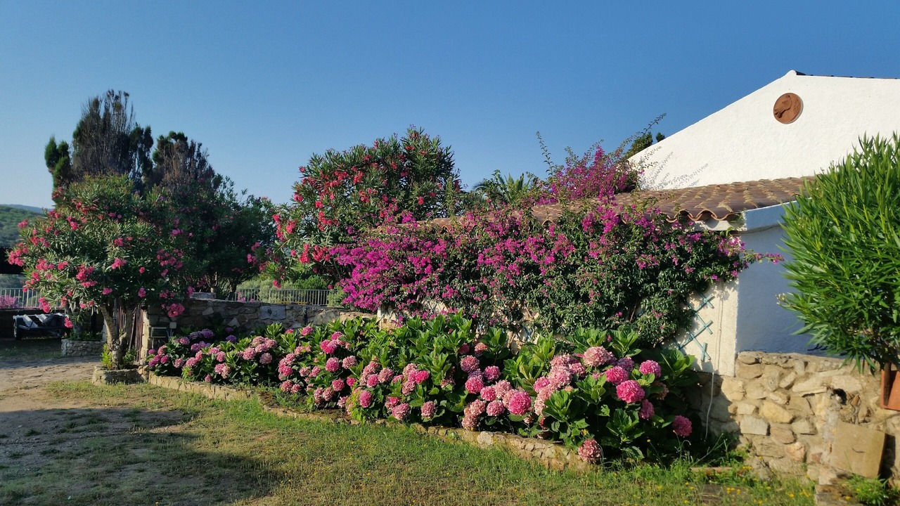 Photo of Outdoor in Santa Teresa di Gallura