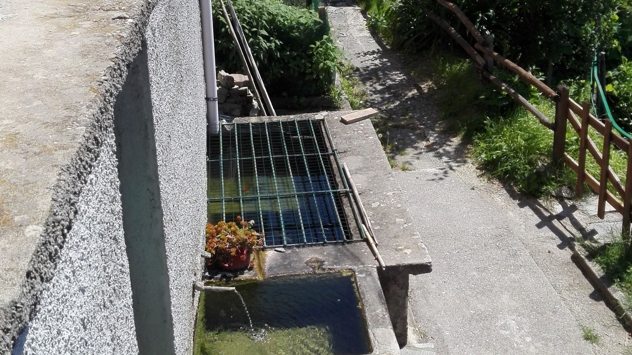 Photo of Outdoor in Avegno