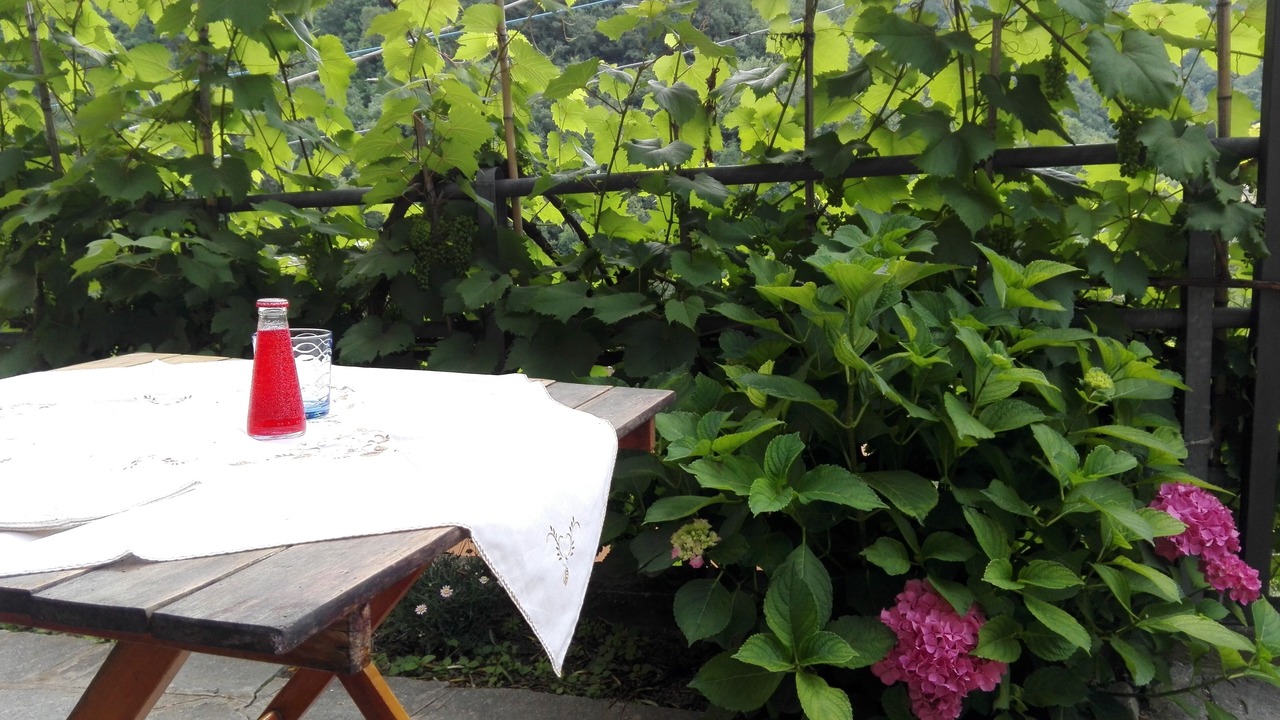 Photo of Outdoor in Avegno