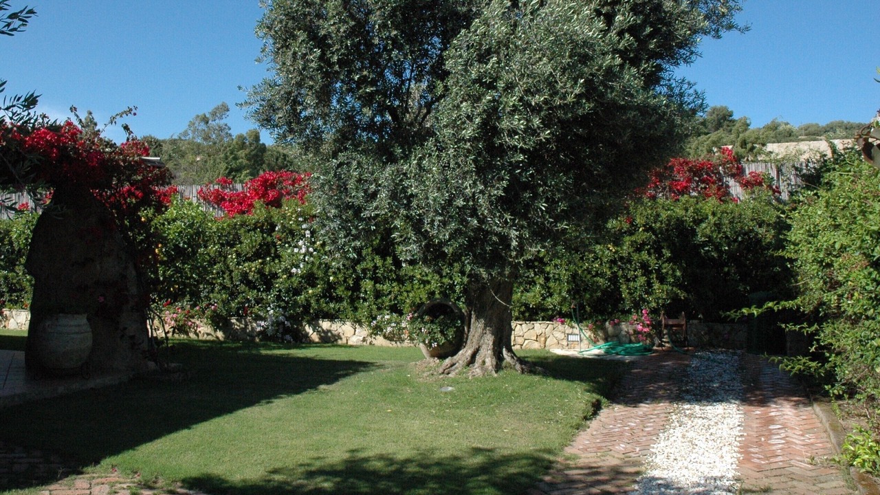 Photo of Outdoor in Notteri