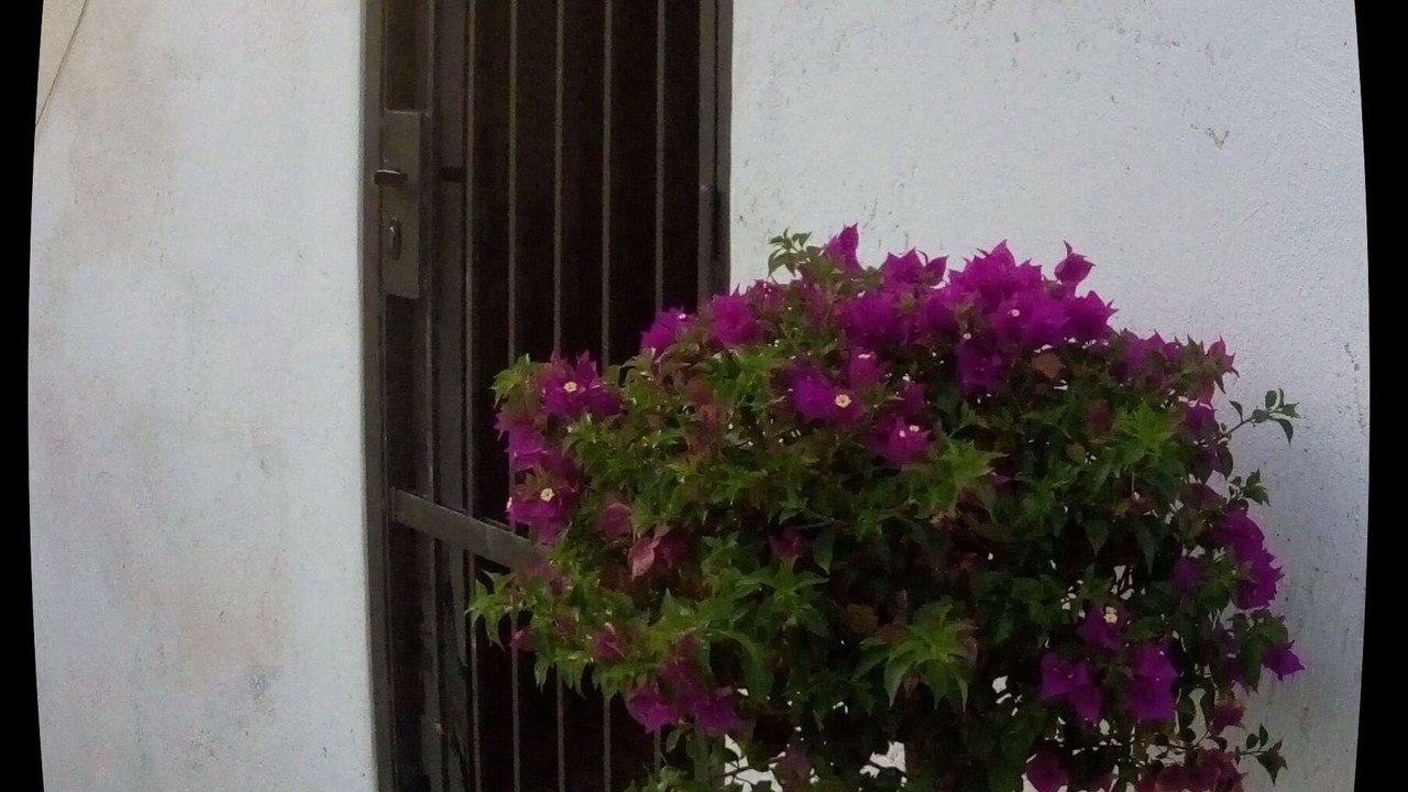 Photo of Outdoor in Castropignano