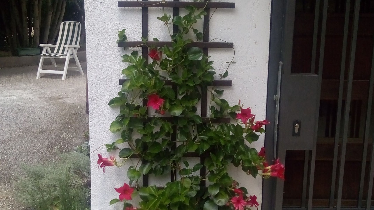 Photo of Outdoor in Castropignano