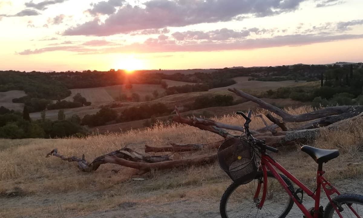 Photo of Outdoor in Foiano della Chiana
