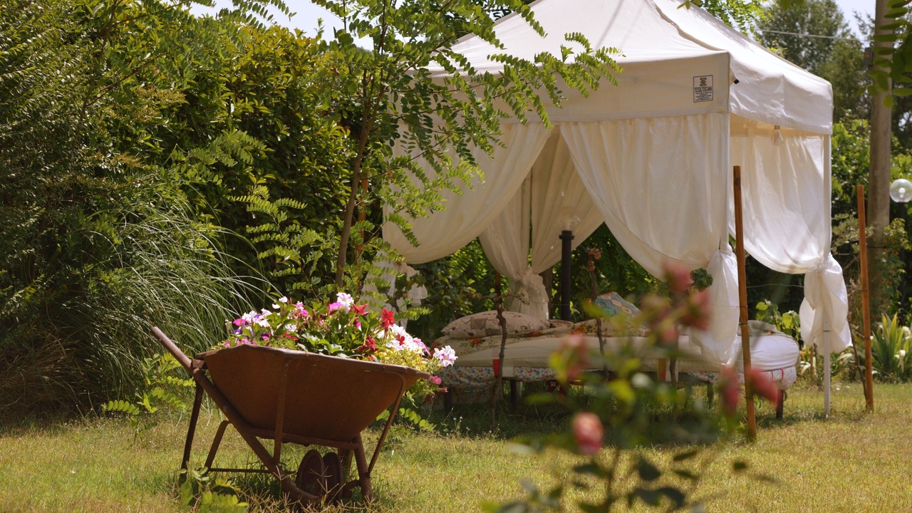 Photo of Outdoor in Foiano della Chiana