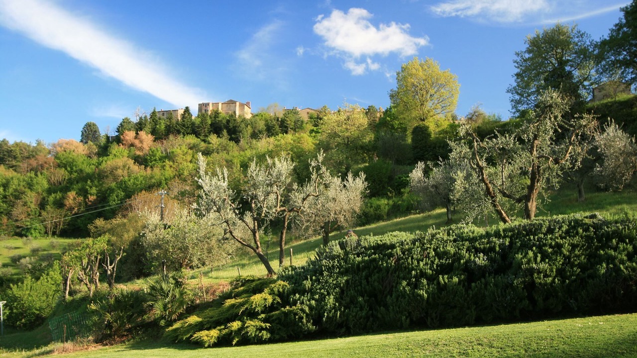Photo of Outdoor in Radicondoli