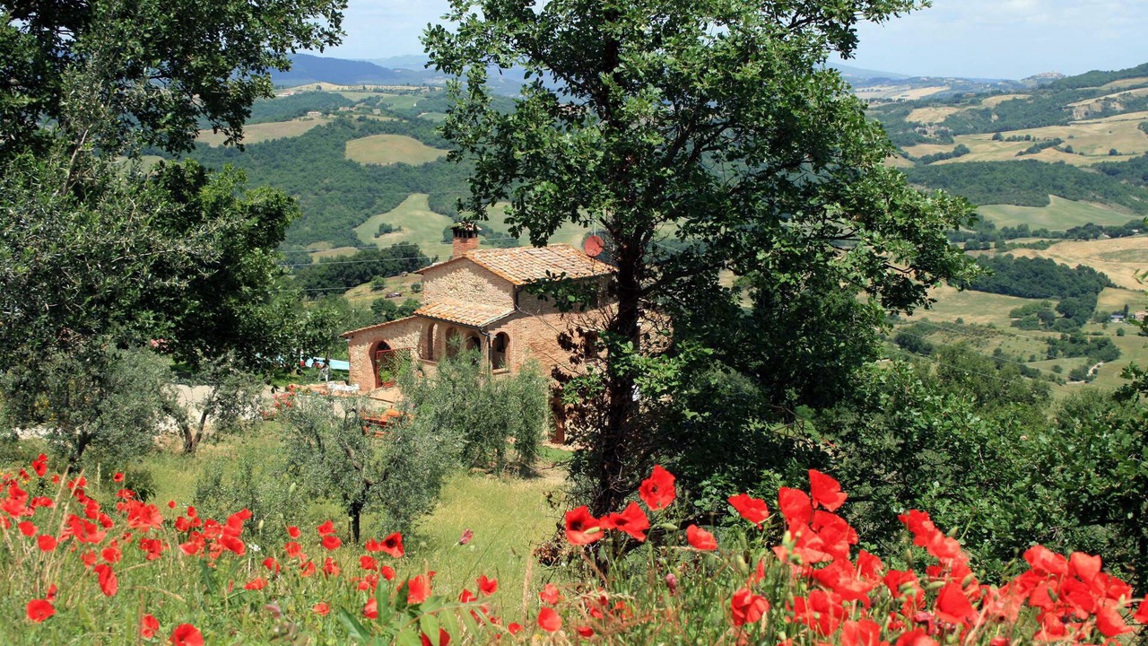 Photo of Outdoor in Radicondoli