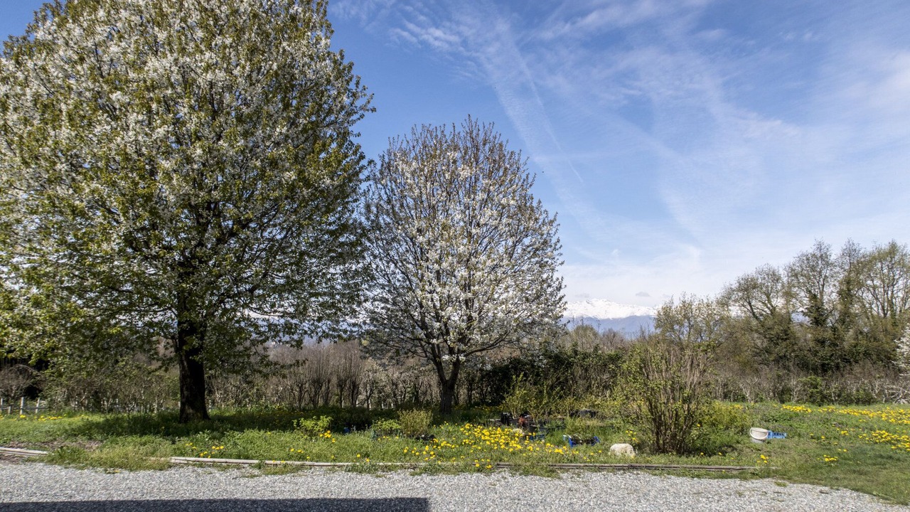 Photo of Outdoor in Moncrivello