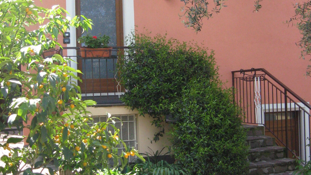 Photo of Outdoor in Assenza