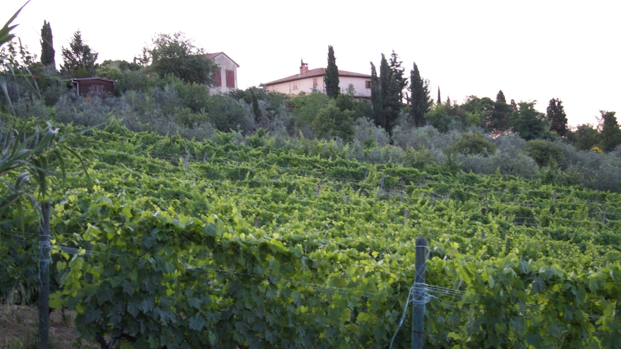 Photo of Outdoor in Castelfiorentino