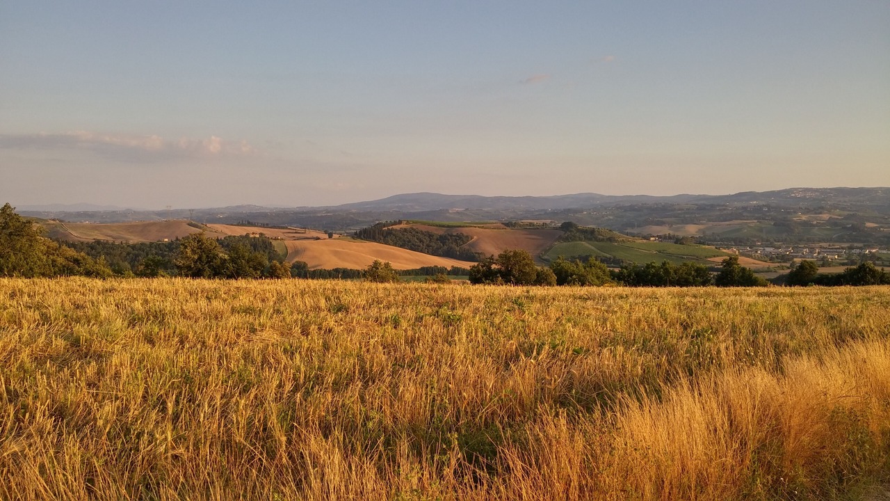 Photo of Outdoor in Castelfiorentino
