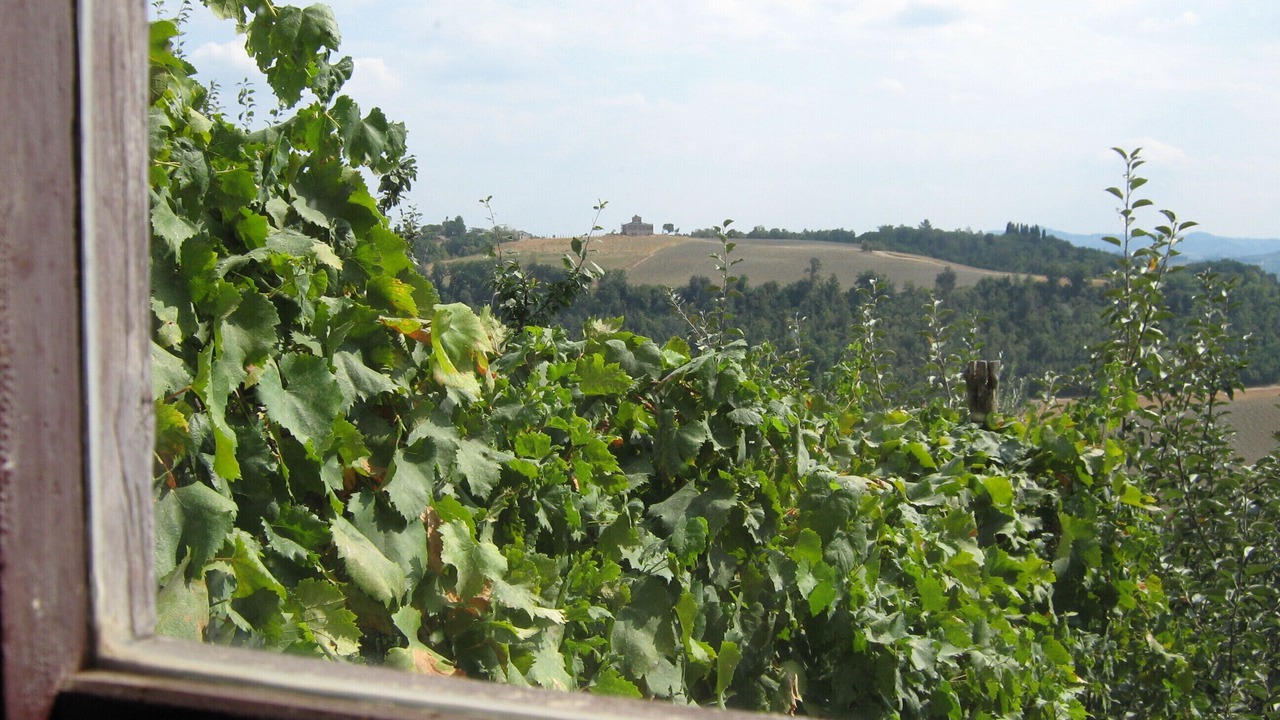 Photo of Others in Castelfiorentino