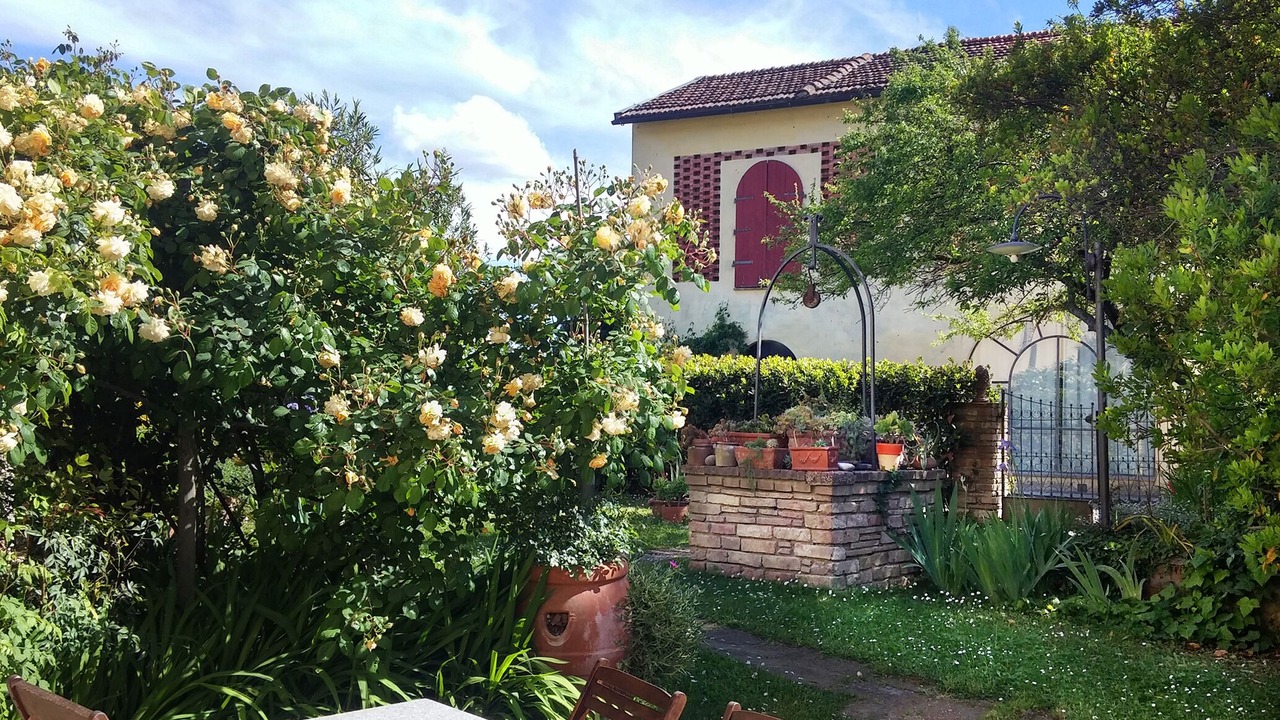 Photo of Outdoor in Castelfiorentino
