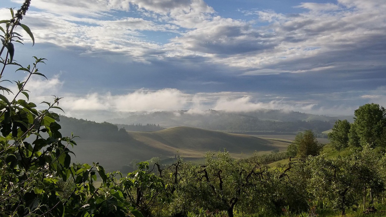 Photo of Others in Castelfiorentino