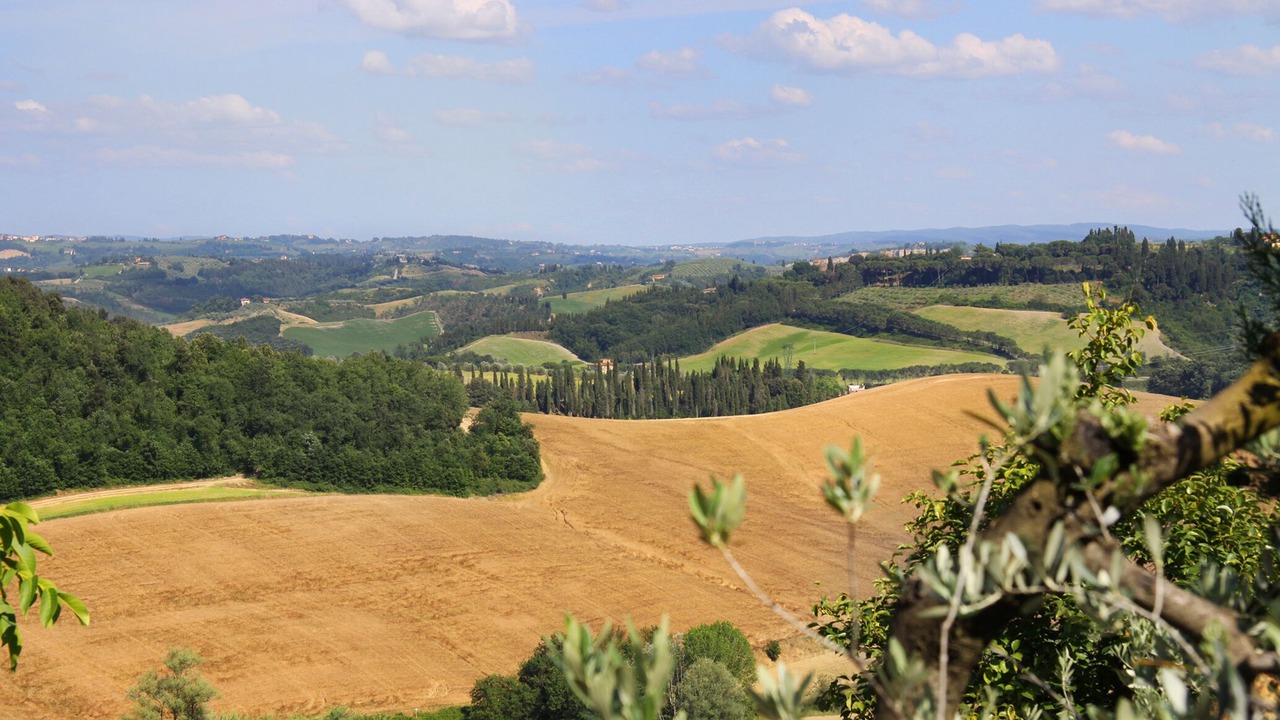 Photo of Others in Castelfiorentino