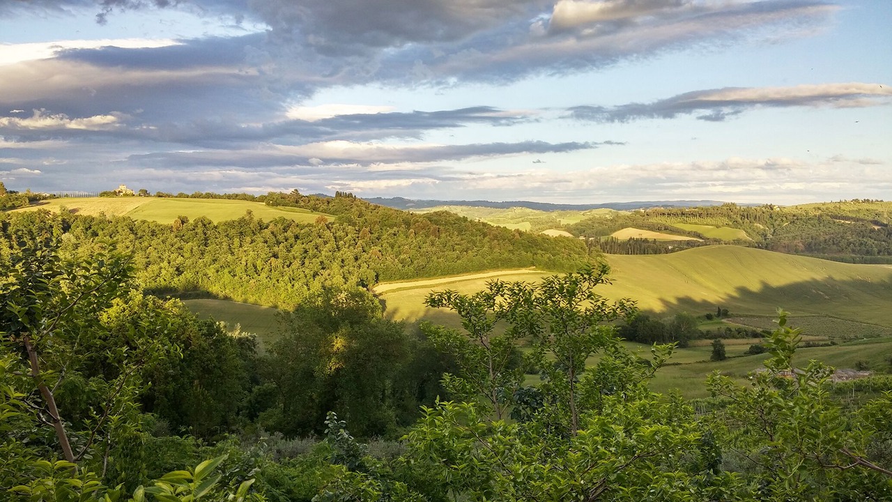 Photo of Others in Castelfiorentino