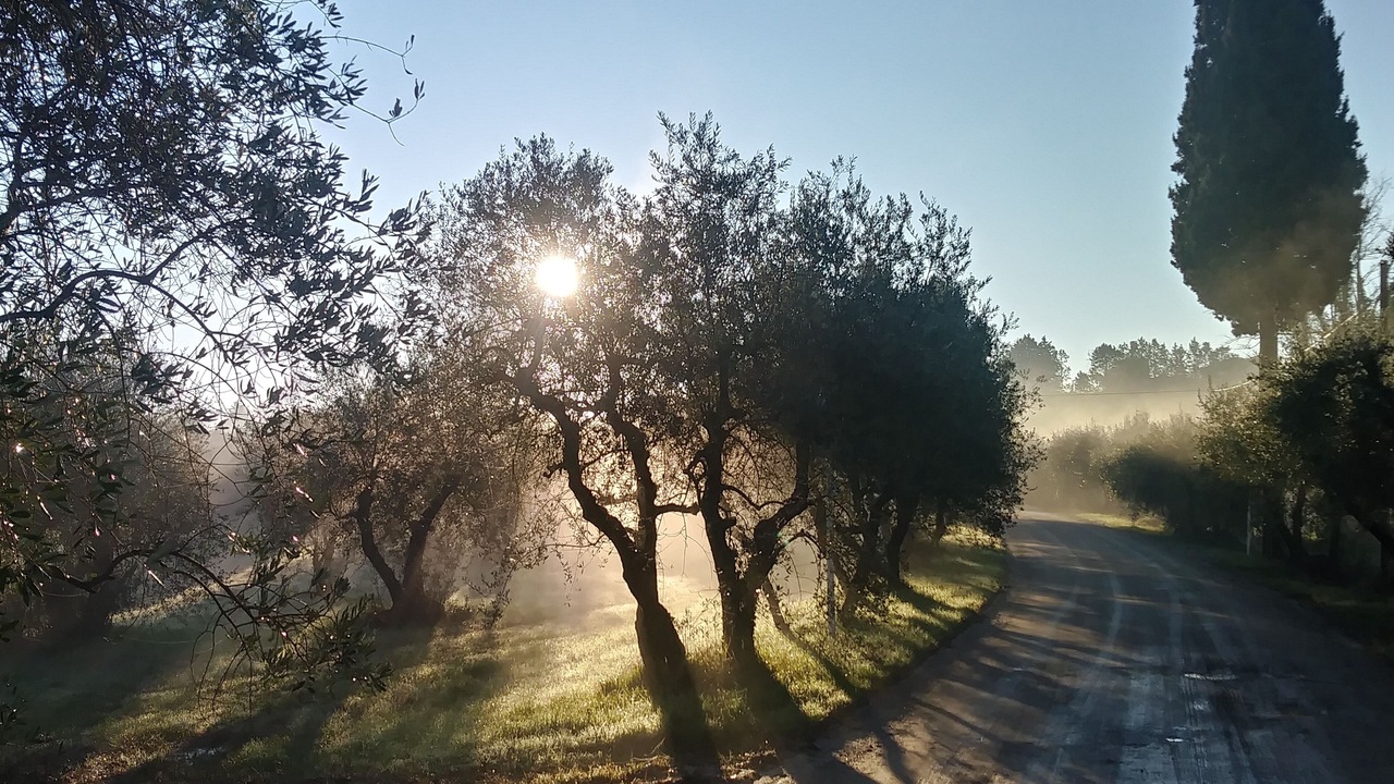 Photo of Outdoor in Castelfiorentino