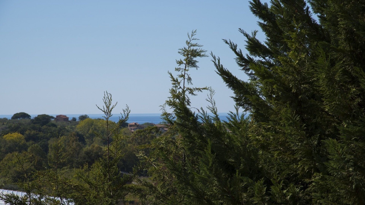 Photo of Outdoor in Alani