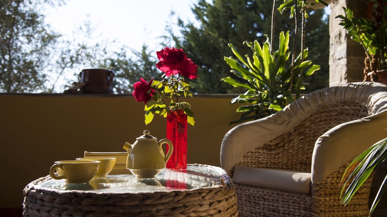 Photo of Outdoor in Alani