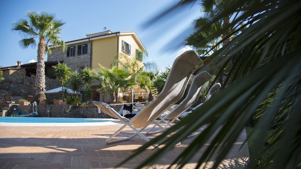 Photo of Outdoor in Alani