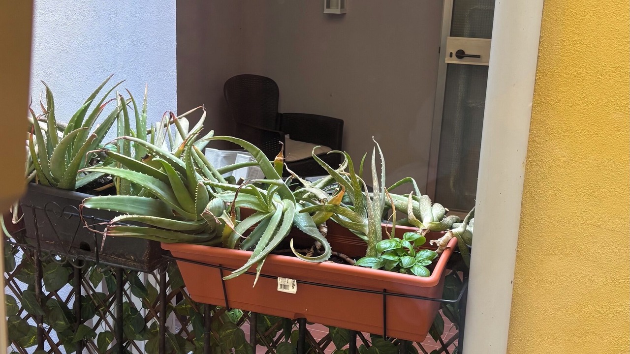 Photo of Outdoor in Chioggia