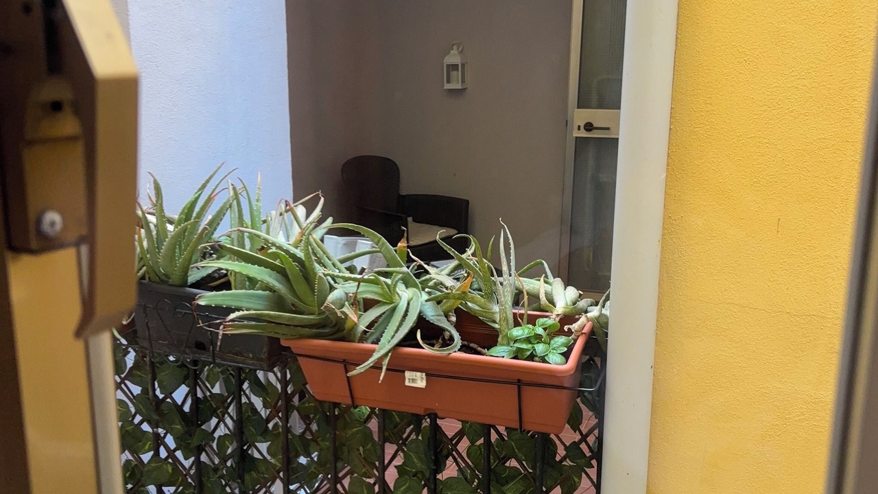 Photo of Others in Chioggia