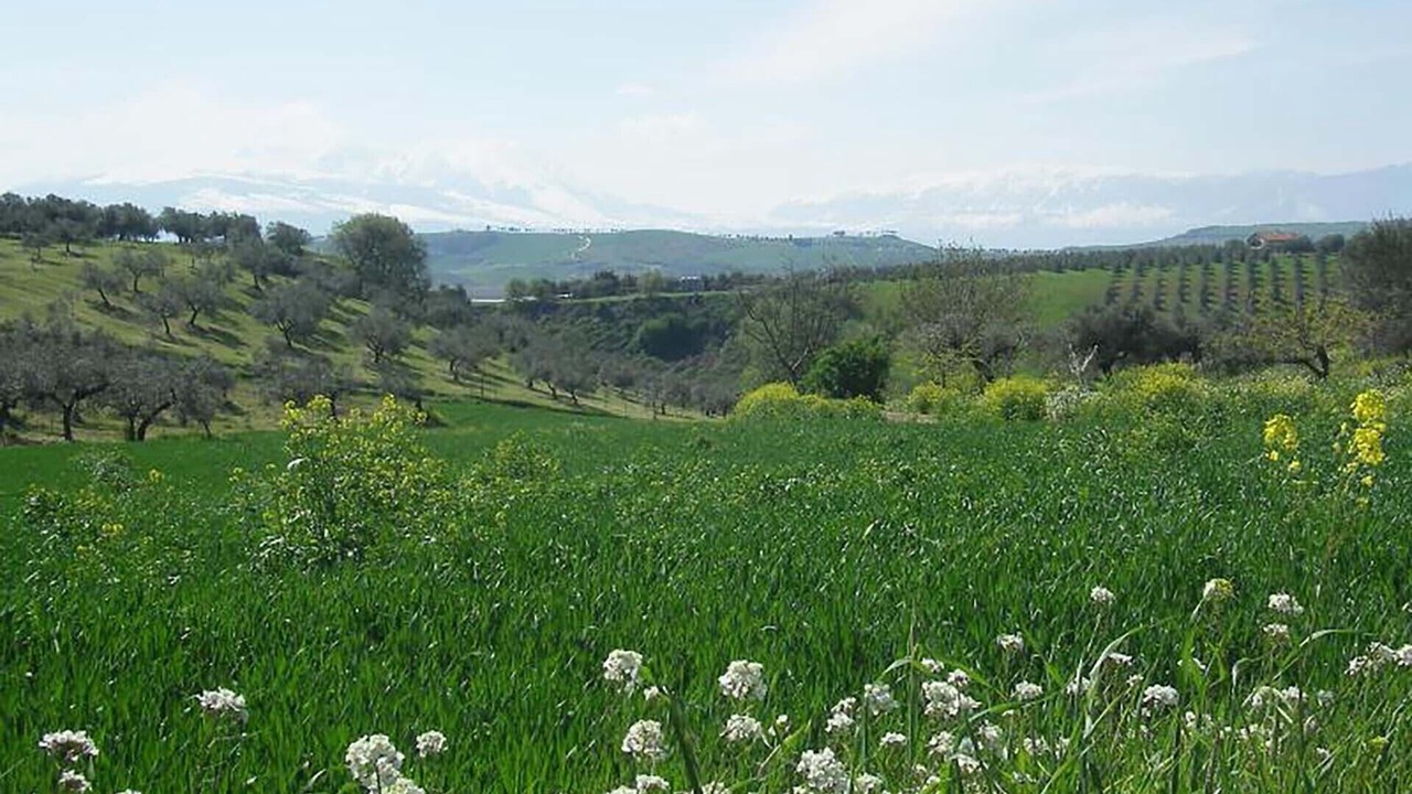 Photo of Outdoor in Loreto Aprutino