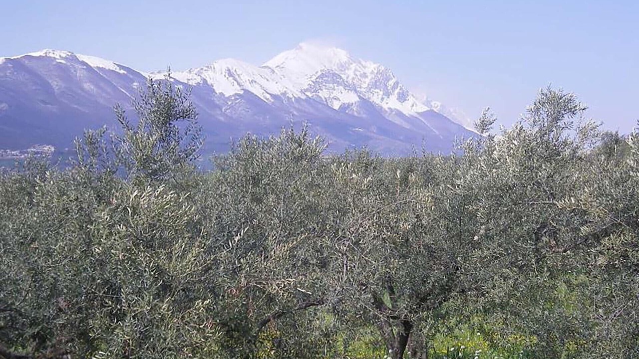 Photo of Outdoor in Loreto Aprutino