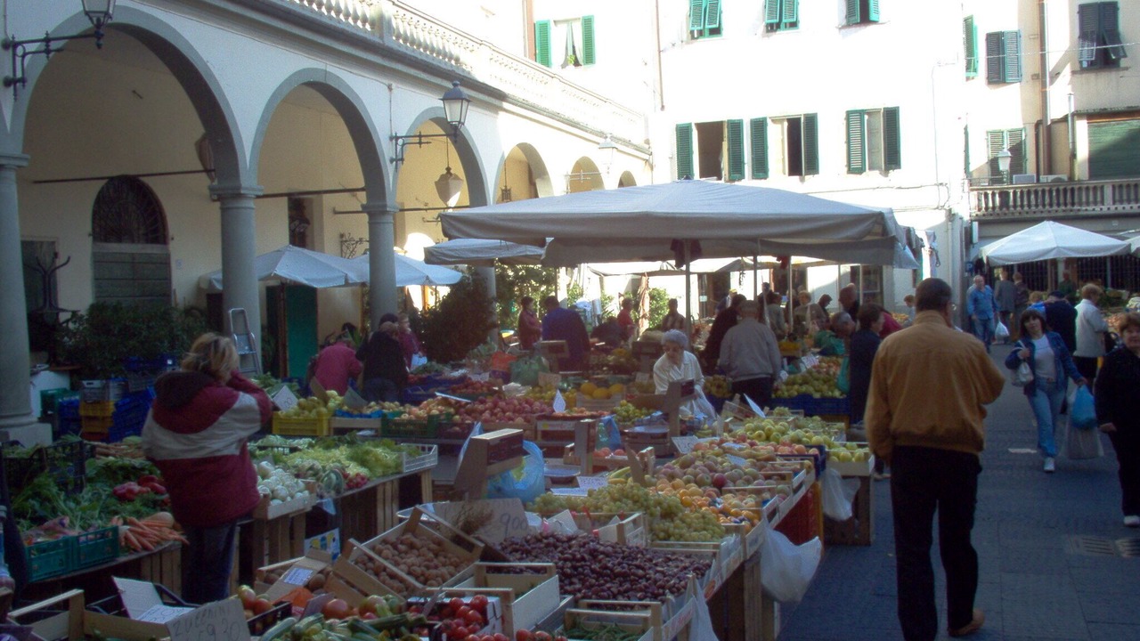 Photo of Others in Saturnana