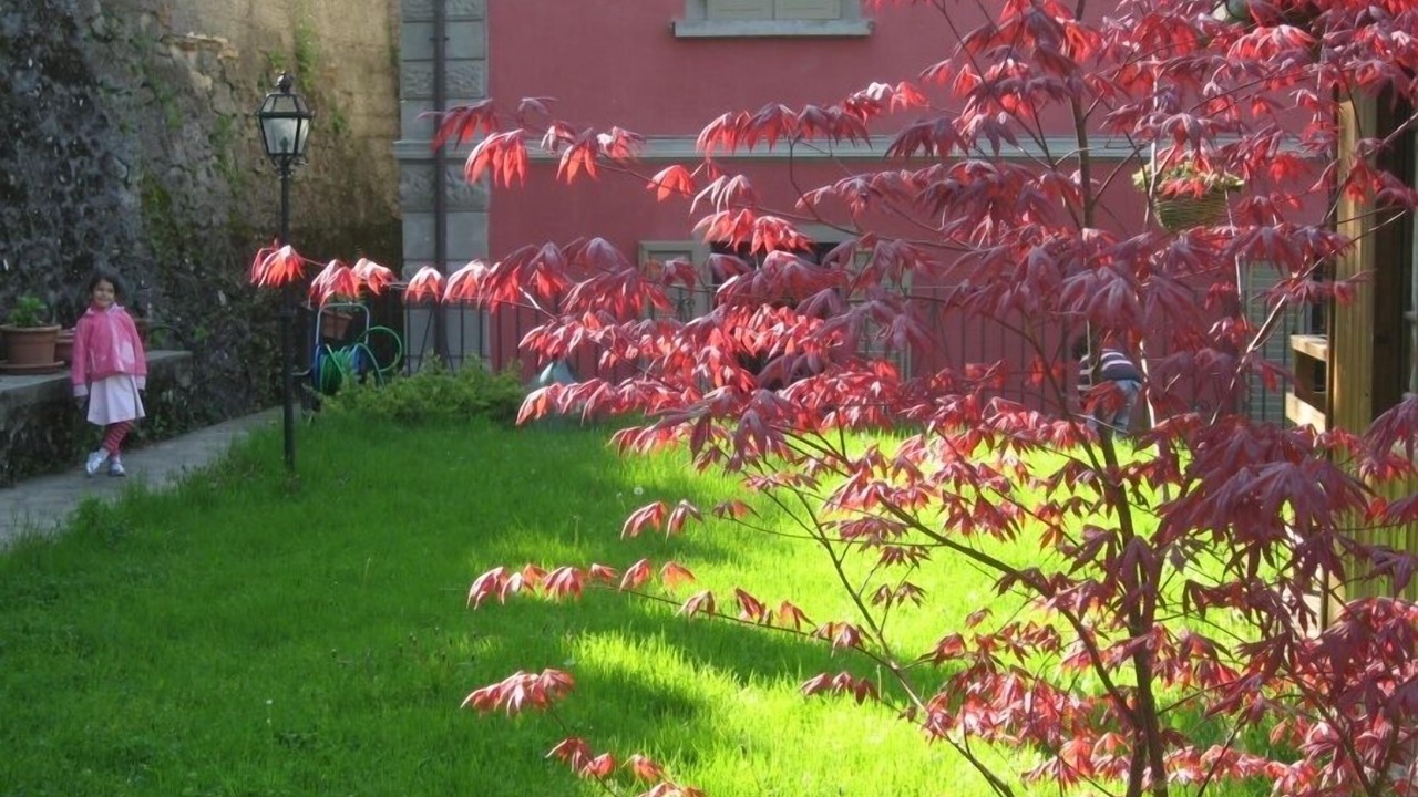 Photo of Outdoor in Saturnana
