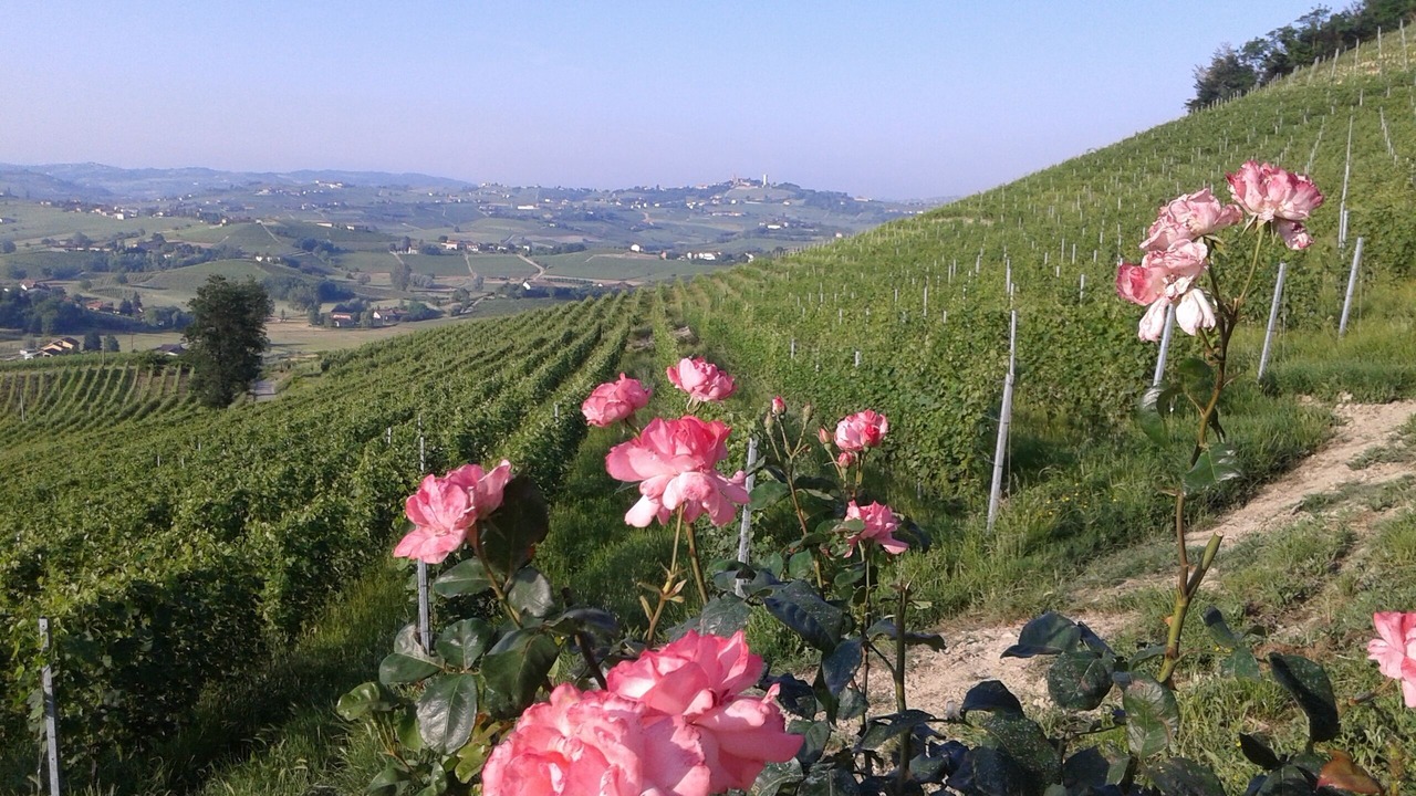 Photo of Outdoor in Agliano Terme