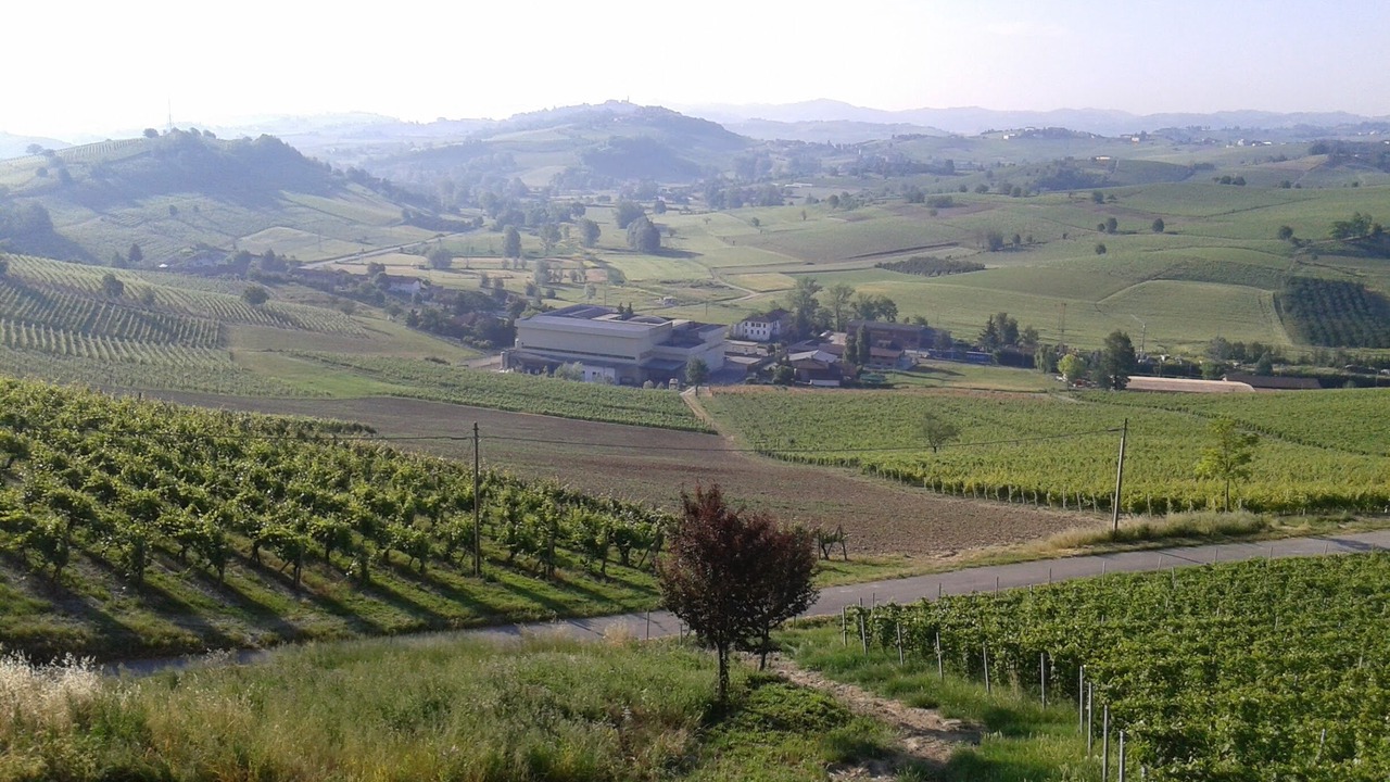 Photo of Others in Agliano Terme