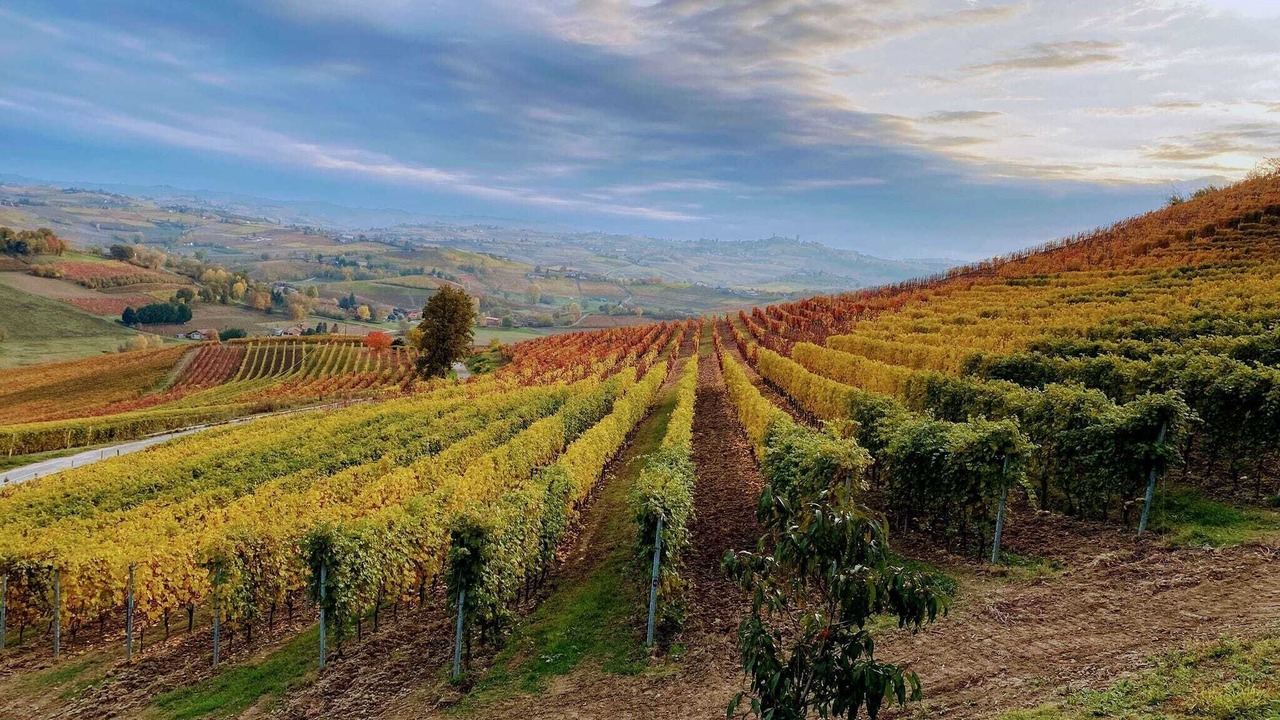 Photo of Outdoor in Agliano Terme