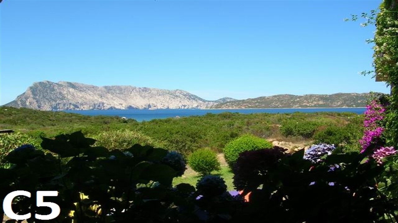 Photo of Outdoor in San Teodoro