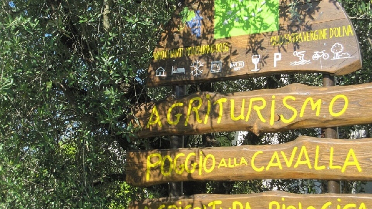 Photo of Others in Poggio Alla Cavalla