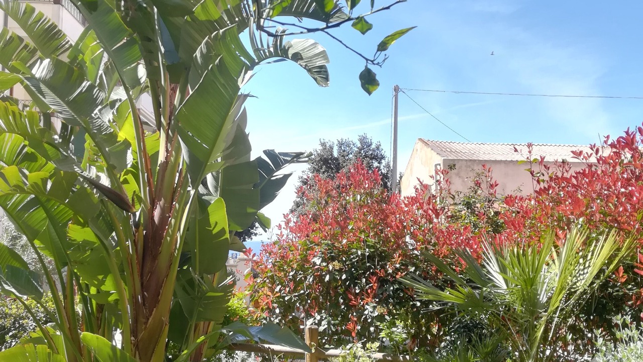 Photo of Outdoor in Alghero City Centre