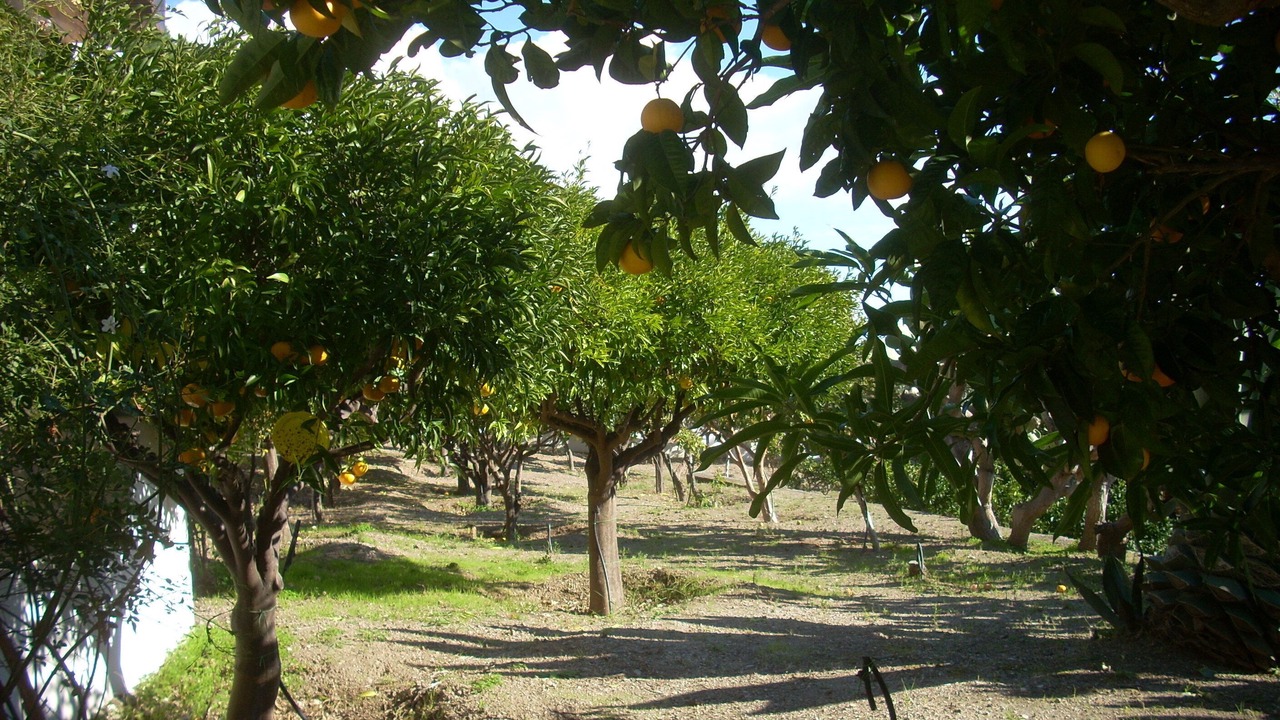 Photo of Outdoor in Lipari
