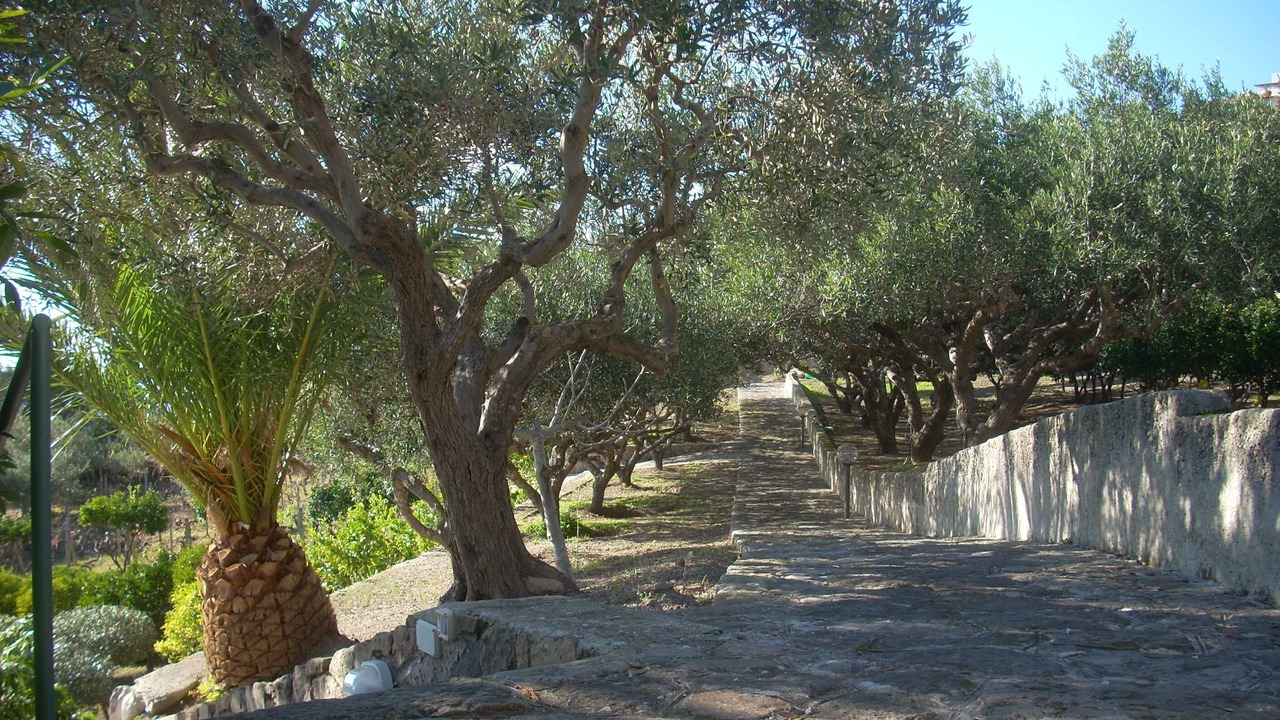 Photo of Outdoor in Lipari