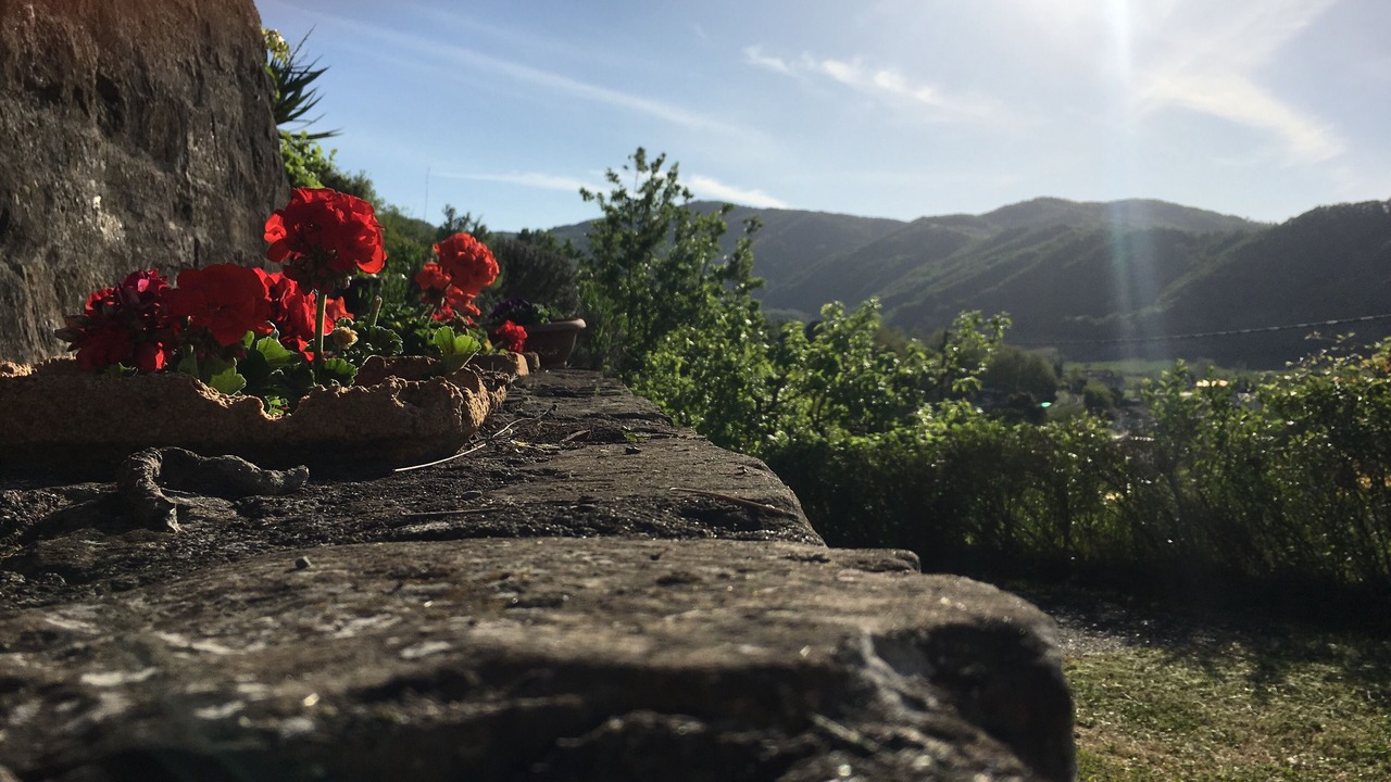 Photo of Outdoor in Ponti