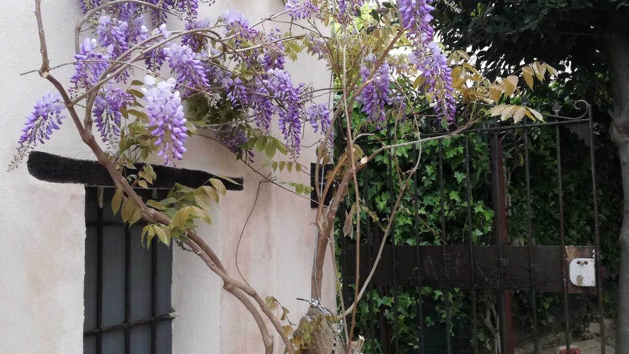 Photo of Outdoor in Mondolfo