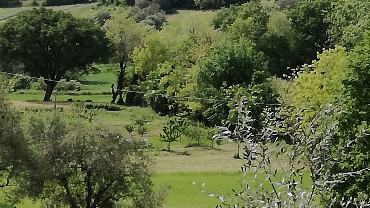 Photo of Others in Mondolfo