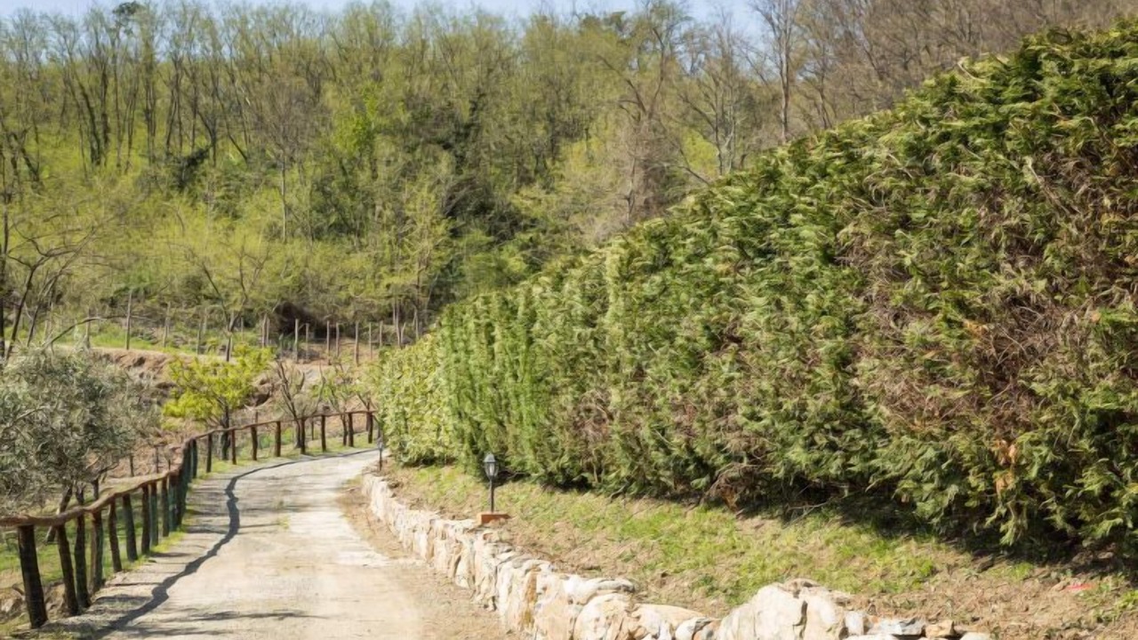 Photo of Outdoor in Tresana
