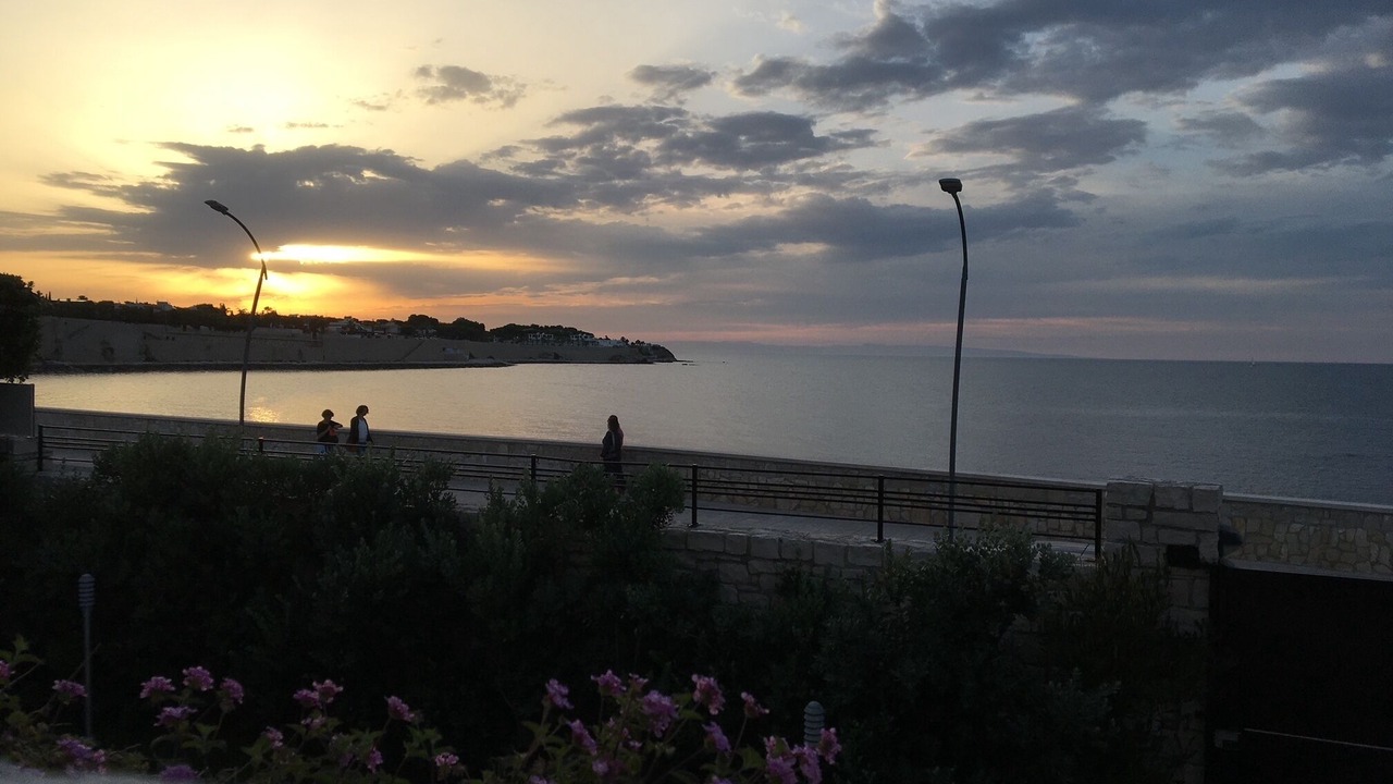 Photo of Others in Bisceglie