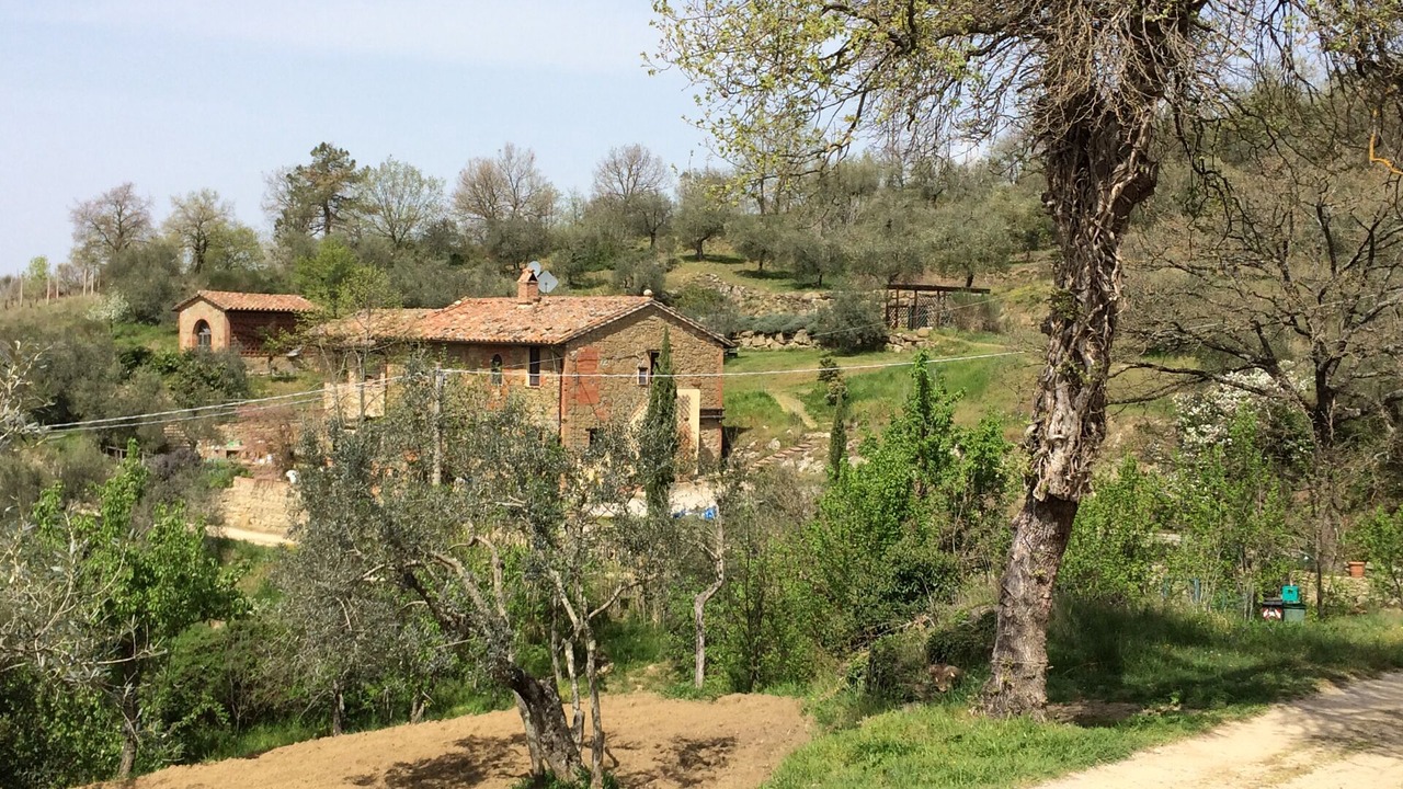 Photo of Outdoor in Panicale