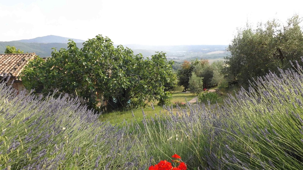 Photo of Outdoor in Panicale
