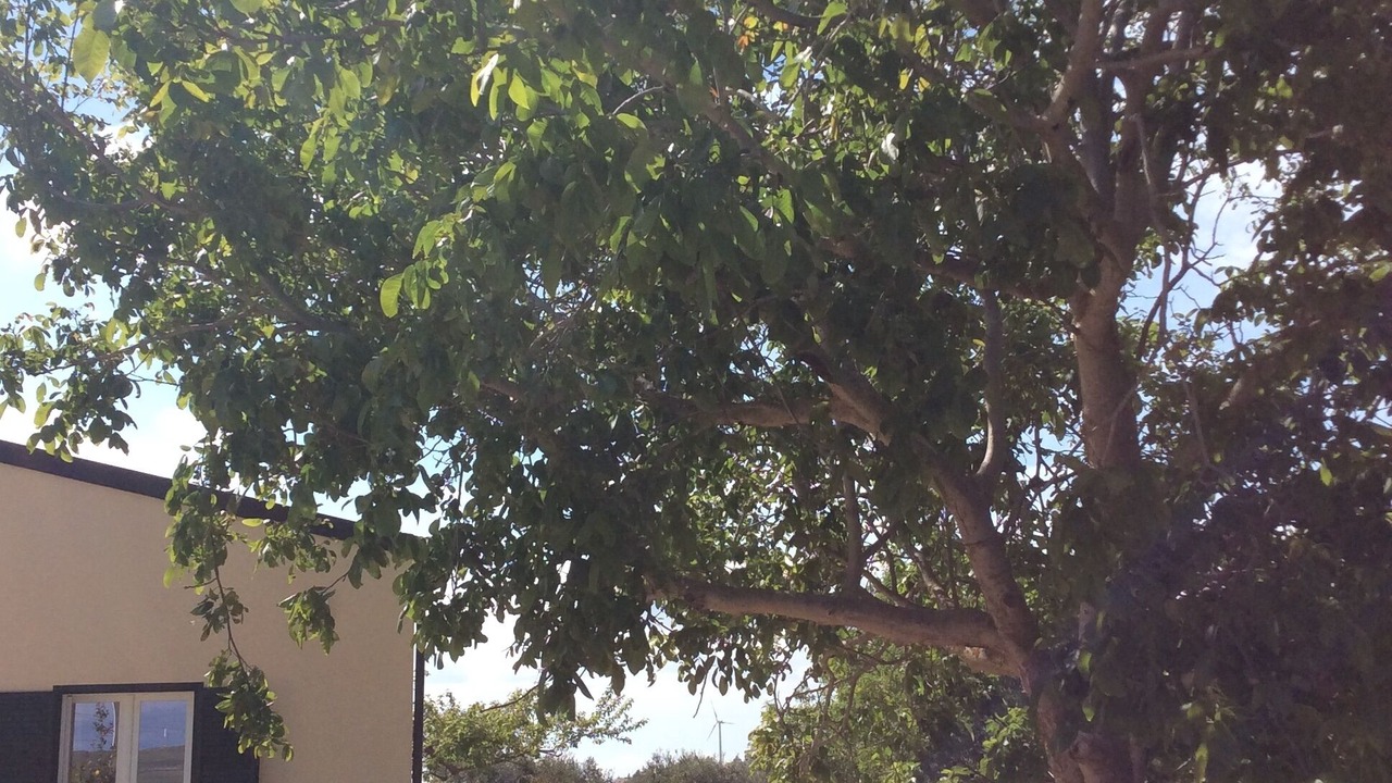 Photo of Outdoor in Santa Ninfa