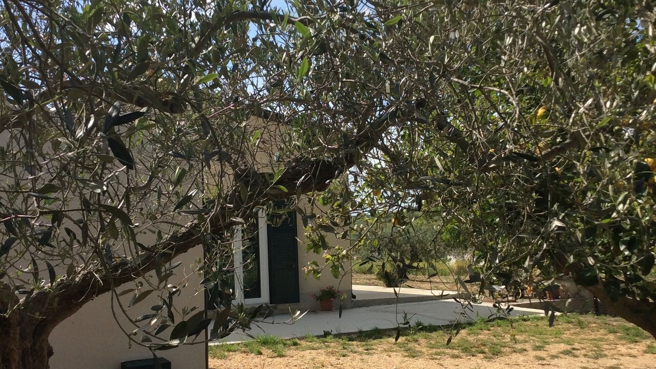 Photo of Outdoor in Santa Ninfa