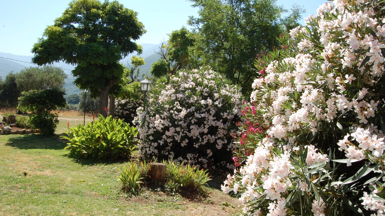 Photo of Outdoor in Palombara Sabina